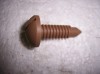 TRIM PANEL SCREW TAN 82-92 CAMARO